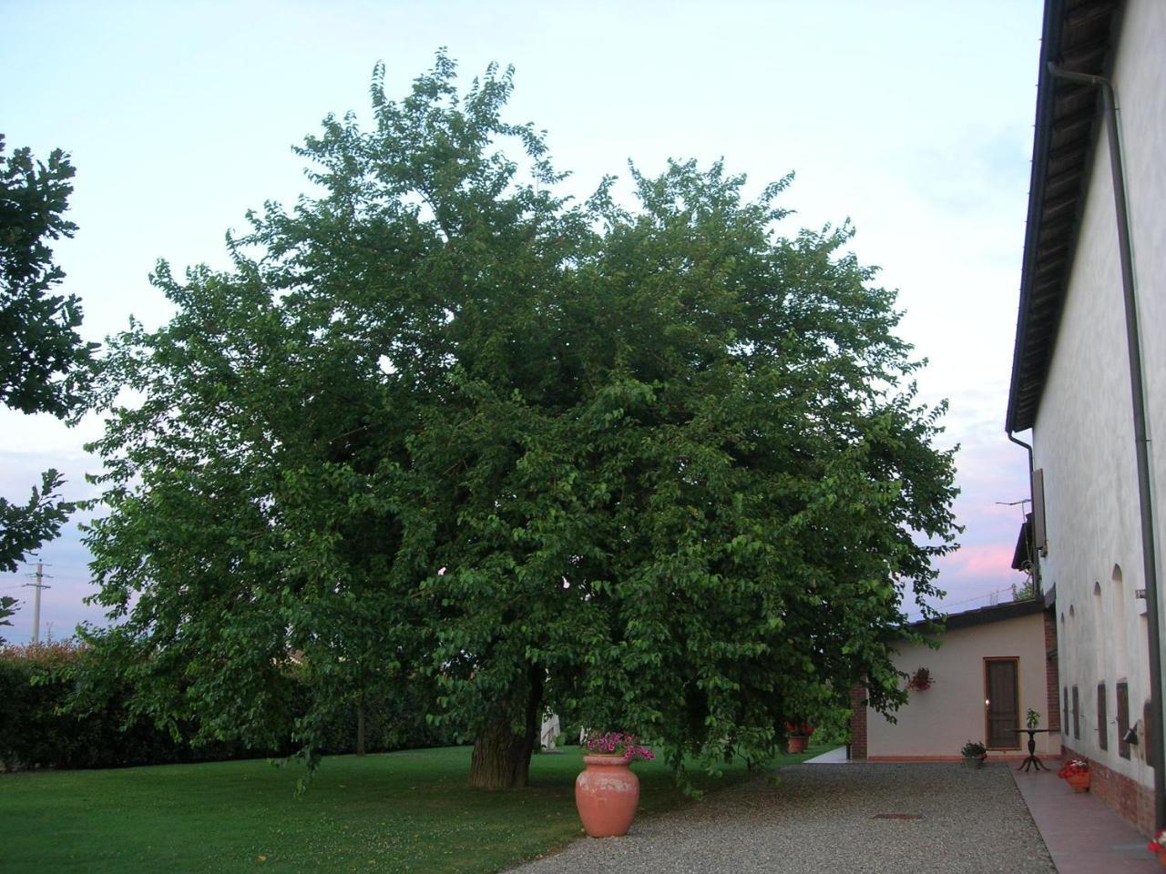 Agriturismo Campass Castelvetro Piacentino Buitenkant foto